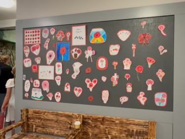 Grade 7 2D Poppy Artwork