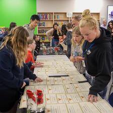 Participant in the project video grabs certificate from table